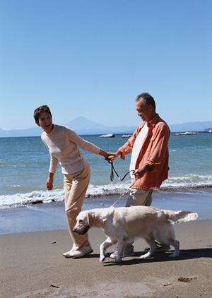 伊勢原で評判の高い動物病院をお探しなら